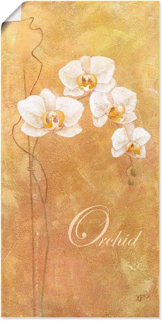 Artland Wandbild »Filigrane Orchidee«, Blumen (1 Stück), in vielen Größen & Produktarten - Alubild / Outdoorbild für den Außenbereich, Leinwandbild, Poster, Wandaufkleber / Wandtattoo auch für Badezimmer geeignet-Bilder-Inspirationen