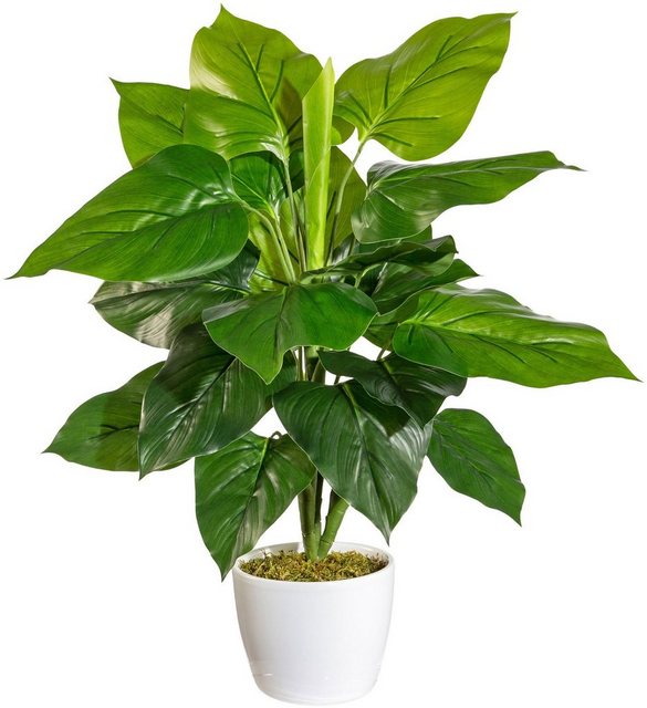 Künstliche Zimmerpflanze »Jarla« Philodendron, andas, Höhe 50 cm, im Keramiktopf-Kunstpflanzen-Inspirationen