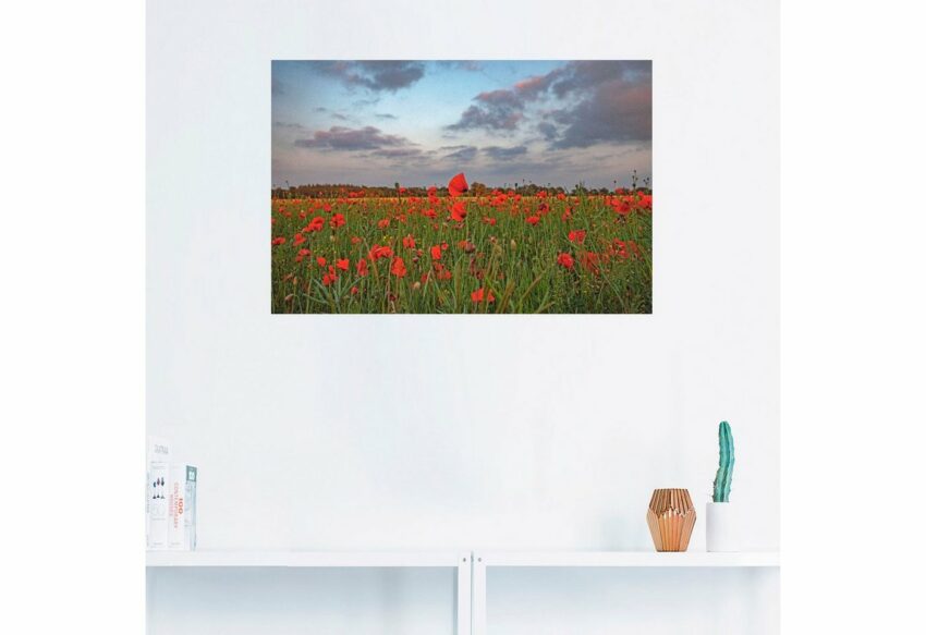 Artland Wandbild »Mohnblumenfeld«, Blumenwiese (1 Stück), in vielen Größen & Produktarten - Alubild / Outdoorbild für den Außenbereich, Leinwandbild, Poster, Wandaufkleber / Wandtattoo auch für Badezimmer geeignet-Bilder-Ideen für dein Zuhause von Home Trends