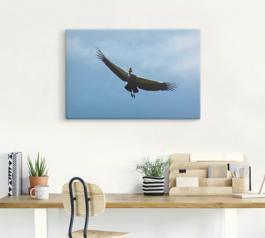Artland Wandbild »Kronenkranich Flug«, Vögel (1 Stück), in vielen Größen & Produktarten - Alubild / Outdoorbild für den Außenbereich, Leinwandbild, Poster, Wandaufkleber / Wandtattoo auch für Badezimmer geeignet-Bilder-Ideen für dein Zuhause von Home Trends