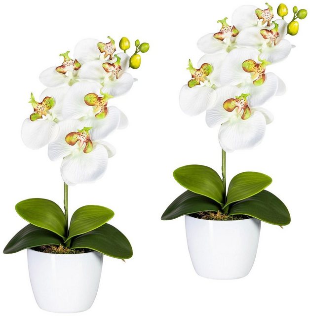 Kunstpflanze »Orchidee Phalaenopsis« Orchidee, Creativ green, Höhe 40 cm, im Keramiktopf-Kunstpflanzen-Inspirationen