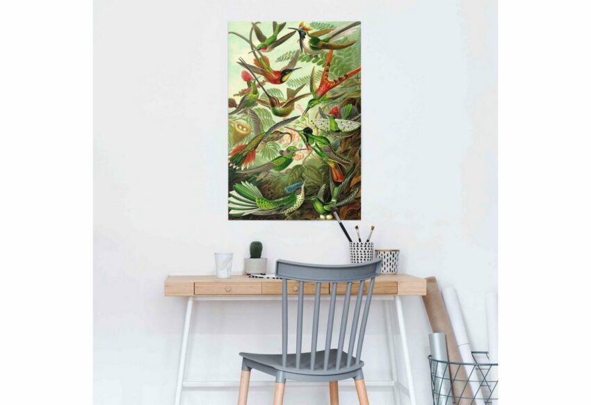 Reinders! Poster »Hummingbirds Vogel - Tiermotiv - Natur - Botanisch - Ernst Haeckel«, (1 Stück)-Bilder-Ideen für dein Zuhause von Home Trends