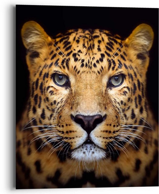 Reinders! Wandbild »Wandbild Leopard Kräftig - Panther - Raubetier - Gefleckt«, Leopard (1 Stück)-Bilder-Inspirationen