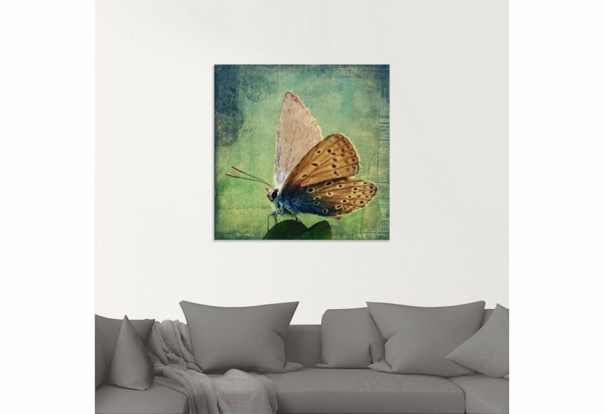 Artland Glasbild »Kleiner Schmetterling«, Insekten (1 Stück)-Bilder-Ideen für dein Zuhause von Home Trends