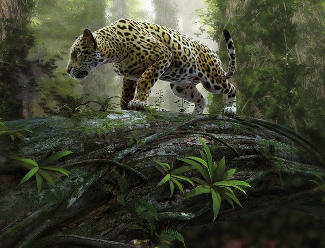 Papermoon Fototapete »Jaguar on the Prowl«, glatt-Tapeten-Inspirationen