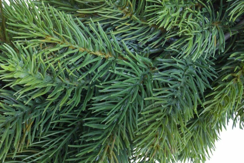 Kunstkranz »Edel-Adventskranz Rory« Tanne, Botanic-Haus, Höhe 17 cm-Kunstpflanzen-Ideen für dein Zuhause von Home Trends