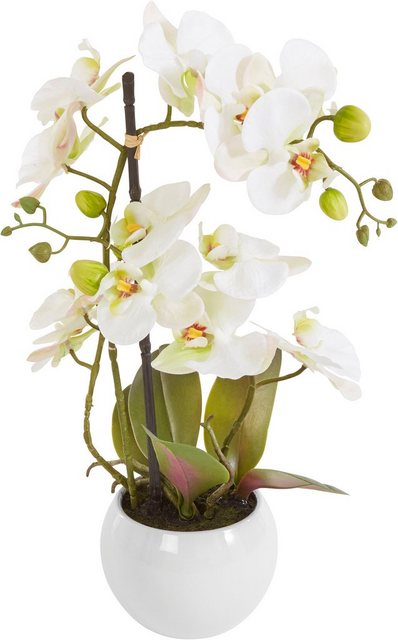 Kunstorchidee »Ernestine« Orchidee, DELAVITA, Höhe 42 cm, Kunstpflanze, im Topf-Kunstpflanzen-Inspirationen