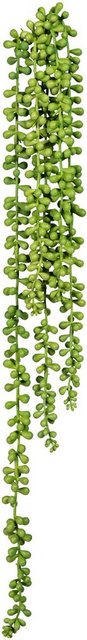 Kunstranke »Sedumhänger« Sukkulente, Creativ green, Höhe 70 cm, 3er Set-Kunstpflanzen-Inspirationen