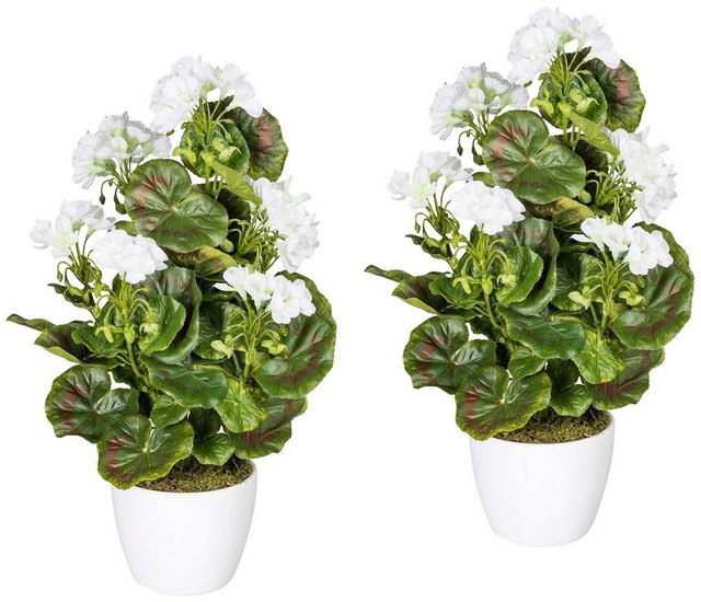 Kunstpflanze »Geranienbusch weiß«, Creativ green, Höhe 40 cm, im Keramiktopf-Kunstpflanzen-Inspirationen