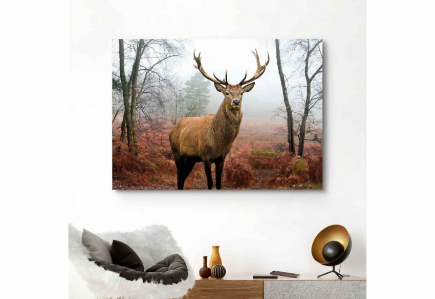 Reinders! Wandbild »Hirsch im Wald Tier - Hirschgeweih - Naturmotiv«, (1 Stück)-Bilder-Ideen für dein Zuhause von Home Trends