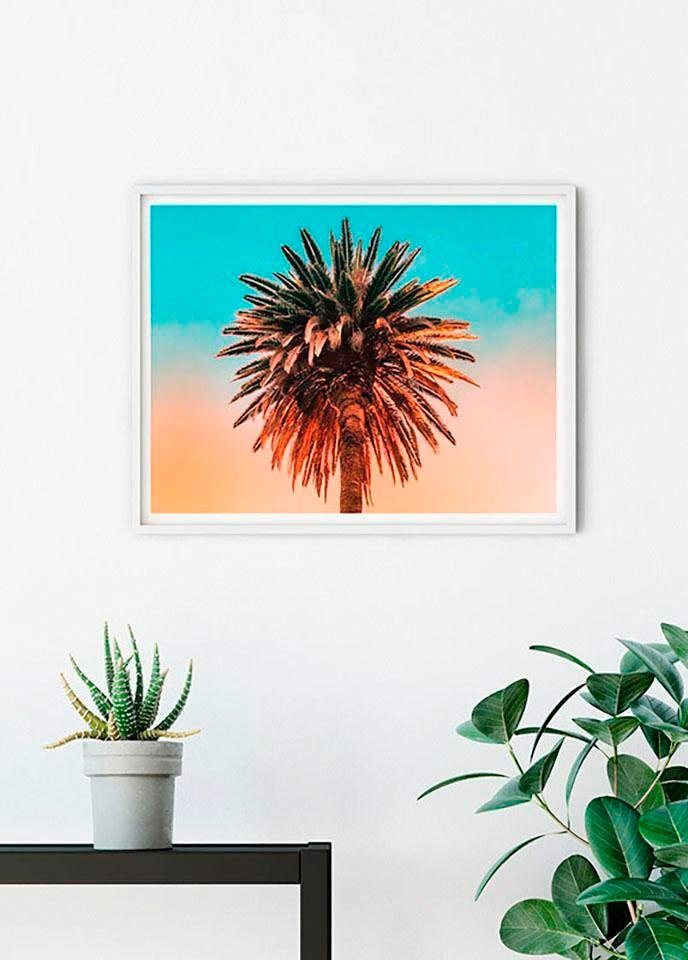 Komar Poster »Palm Tree«, Pflanzen, Blätter, Höhe: 50cm-Bilder-Ideen für dein Zuhause von Home Trends