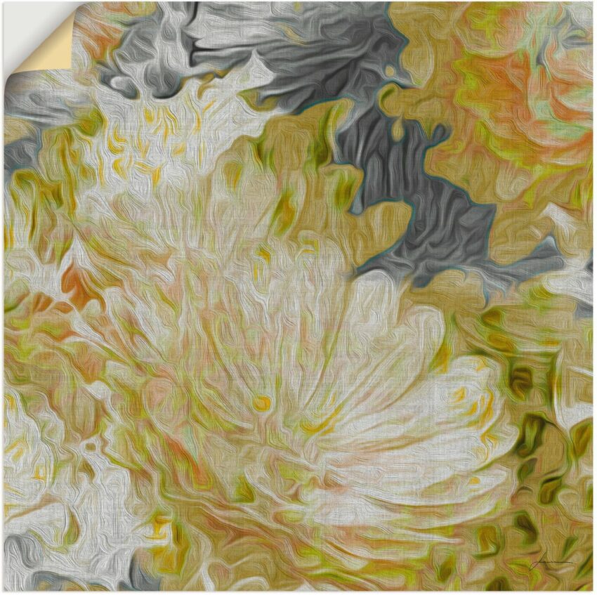 Artland Wandbild »Chrysanthemen in der Sonne II«, Blumen (1 Stück), in vielen Größen & Produktarten - Alubild / Outdoorbild für den Außenbereich, Leinwandbild, Poster, Wandaufkleber / Wandtattoo auch für Badezimmer geeignet-Bilder-Ideen für dein Zuhause von Home Trends