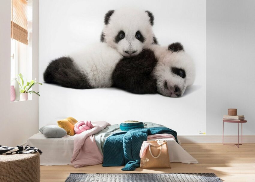 Komar Vliestapete »Giant Panda«, glatt, bedruckt, realistisch, (6 St), 300 x 280 cm (Breite x Höhe) - 6 Bahnen-Tapeten-Ideen für dein Zuhause von Home Trends