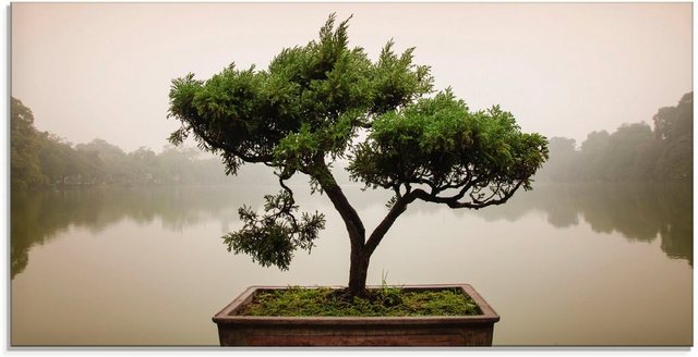 Artland Glasbild »Chinesischer Bonsaibaum«, Bäume (1 Stück)-Bilder-Inspirationen