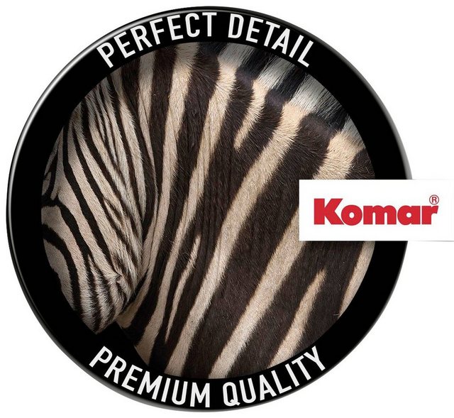 Komar Vliestapete »Damara Zebra«, glatt, bedruckt, realistisch, (8 St), 400 x 280 cm (Breite x Höhe) - 8 Bahnen-Tapeten-Inspirationen