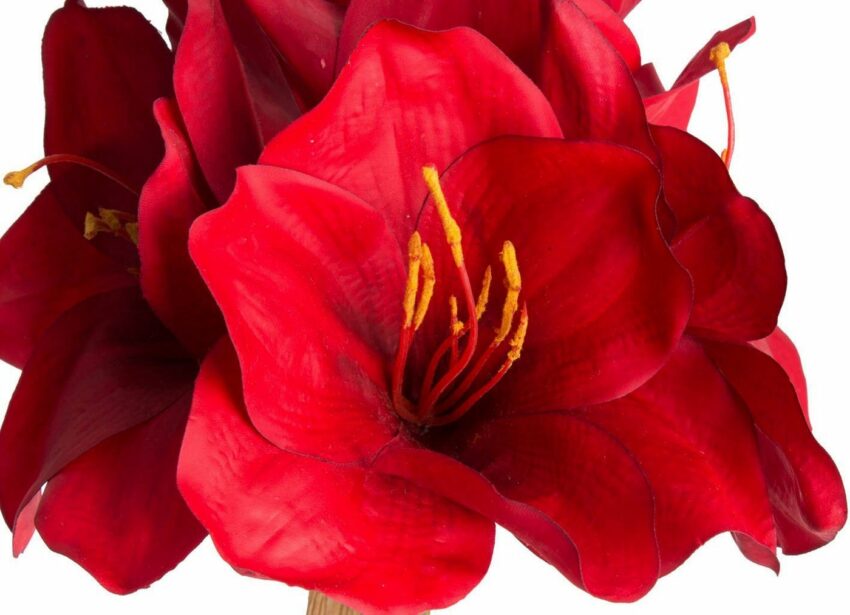 Kunstblume »Amaryllis« Amaryllis, Botanic-Haus, Höhe 57 cm-Kunstpflanzen-Ideen für dein Zuhause von Home Trends