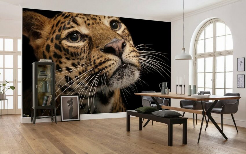 Komar Vliestapete »Javan Leopard«, glatt, bedruckt, realistisch, (8 St), 400 x 280 cm (Breite x Höhe) - 8 Bahnen-Tapeten-Ideen für dein Zuhause von Home Trends