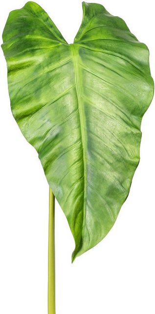 Kunstzweig »Callablatt« Blattstiel, Creativ green, Höhe 110 cm-Kunstpflanzen-Inspirationen