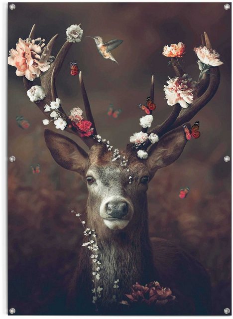 Reinders! Poster »Hirsch«-Bilder-Inspirationen