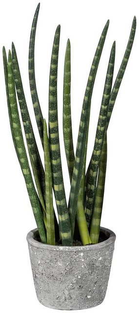 Kunstpflanze »Sanseveria«, Creativ green, Höhe 45 cm, im Zementtopf-Kunstpflanzen-Inspirationen