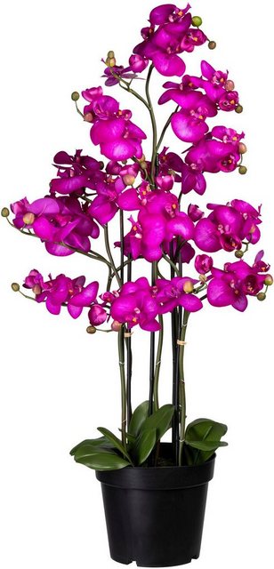 Kunstorchidee »Phalaenopsis« Orchidee Phalaenopsis, Creativ green, Höhe 110 cm-Kunstpflanzen-Inspirationen