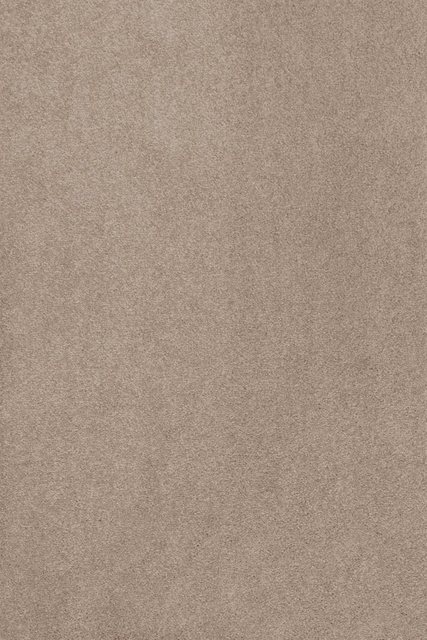 Teppich »Proteus«, Sedna, rechteckig, Höhe 12 mm-Teppiche-Inspirationen