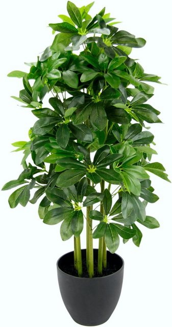 Kunstpflanze »Schefflerapflanze«, I.GE.A., Höhe 83 cm, im Kunststofftopf-Kunstpflanzen-Inspirationen