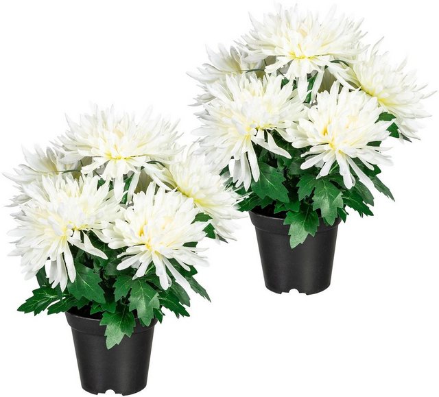 Kunstpflanze »Igraine« Chrysantheme, Home affaire, Höhe 32 cm, 2er Set-Kunstpflanzen-Inspirationen