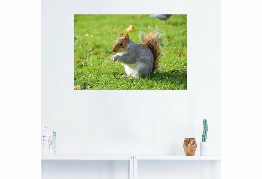 Artland Wandbild »Graues Eichhörnchen«, Wildtiere (1 Stück), in vielen Größen & Produktarten - Alubild / Outdoorbild für den Außenbereich, Leinwandbild, Poster, Wandaufkleber / Wandtattoo auch für Badezimmer geeignet-Bilder-Ideen für dein Zuhause von Home Trends