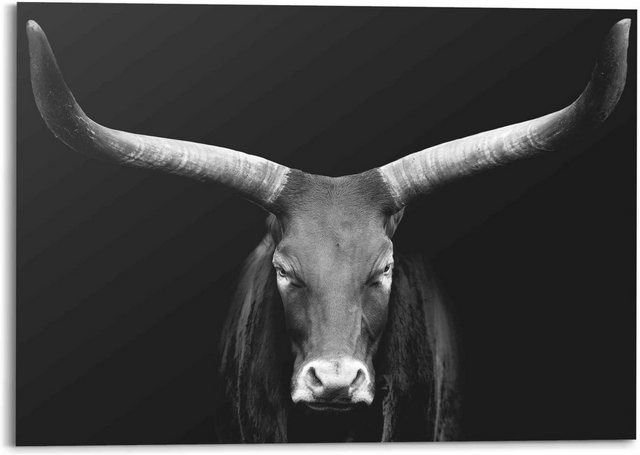 Reinders! Wandbild »Afrikanische Kuh Watusi - Close-up - Auerochse - Geweih«, (1 Stück)-Bilder-Inspirationen