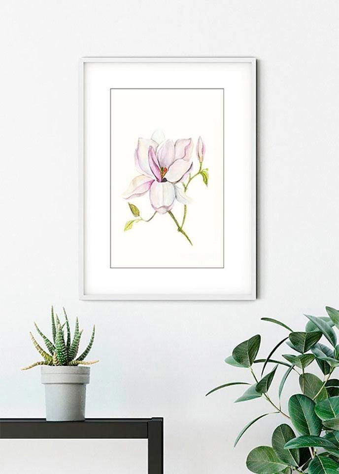 Komar Poster »Magnolia Shine«, Blumen, Höhe: 70cm-Bilder-Ideen für dein Zuhause von Home Trends