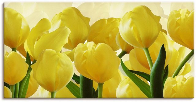 Artland Wandbild »Tulpenfeld gelb«, Blumen (1 Stück), in vielen Größen & Produktarten - Alubild / Outdoorbild für den Außenbereich, Leinwandbild, Poster, Wandaufkleber / Wandtattoo auch für Badezimmer geeignet-Bilder-Inspirationen
