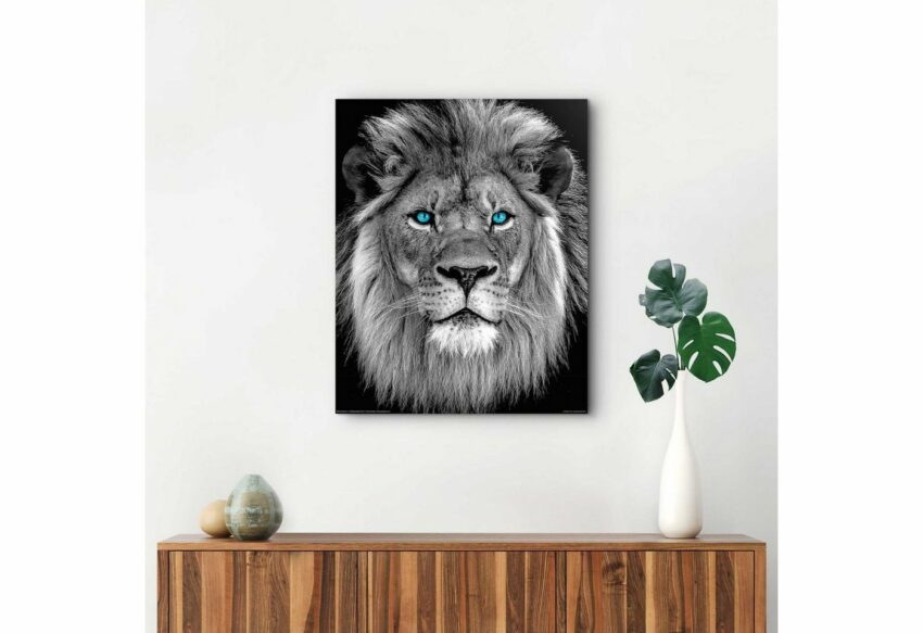 Reinders! Wandbild »Löwe mit blaue Augen«-Bilder-Ideen für dein Zuhause von Home Trends