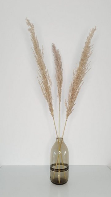 Trockenblume »Dried Pampas« Pampasgras, Everflowers, Höhe 110 cm, 3er Set-Kunstpflanzen-Inspirationen