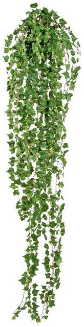 Kunstranke »Englische Efeuranke«, Creativ green, Höhe 180 cm-Kunstpflanzen-Inspirationen