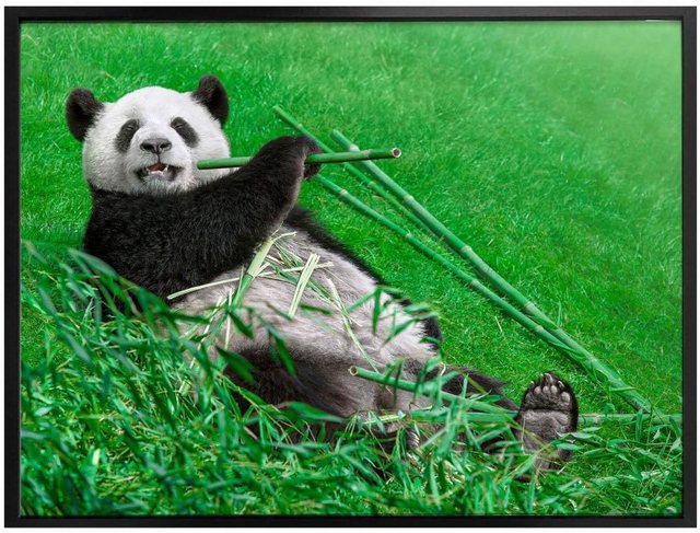 Wall-Art Poster »Waldtiere Bambus Panda«, Tiere (1 Stück), Poster, Wandbild, Bild, Wandposter-Bilder-Inspirationen