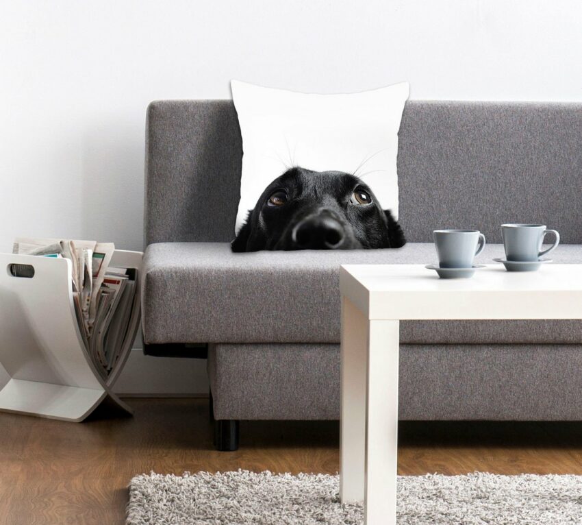 Kissenhülle »Labby«, queence (1 Stück), mit einem neugierigen Labrador-Kissen-Ideen für dein Zuhause von Home Trends