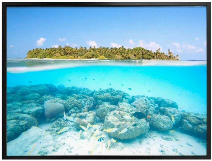 Wall-Art Poster »Unterwasserwelt Malediven«, Meer (1 Stück), Poster, Wandbild, Bild, Wandposter-Bilder-Ideen für dein Zuhause von Home Trends
