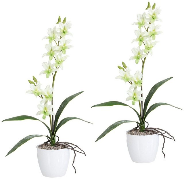 Kunstpflanze »Orchidee Dendrobie« Orchidee, Creativ green, Höhe 60 cm, im Keramiktopf-Kunstpflanzen-Inspirationen