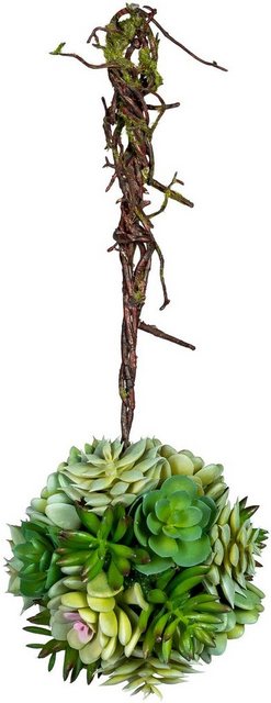 Kunstpflanze »Sukkulentenkugel mit Hänger« Sukkulente, Creativ green, Höhe 35 cm-Kunstpflanzen-Inspirationen
