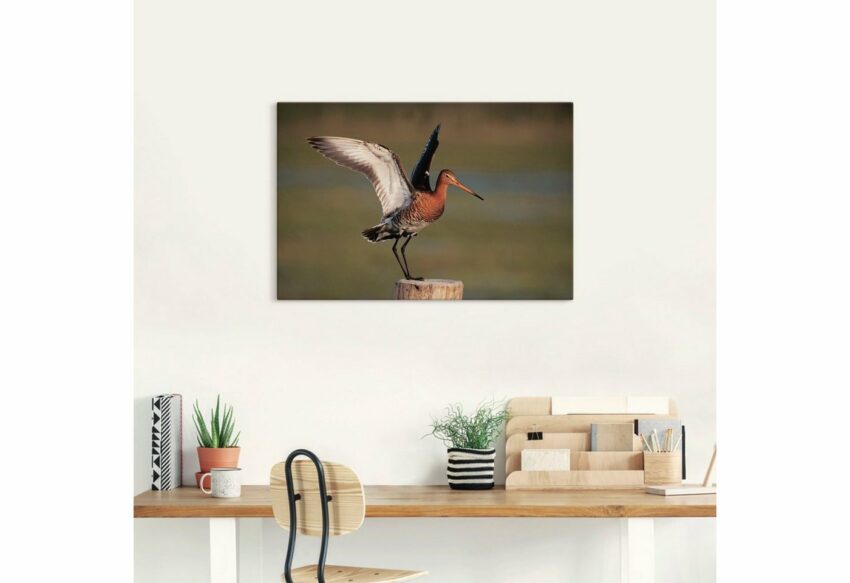 Artland Wandbild »Uferschnepfe im Landeanflug«, Vogelbilder (1 Stück), in vielen Größen & Produktarten - Alubild / Outdoorbild für den Außenbereich, Leinwandbild, Poster, Wandaufkleber / Wandtattoo auch für Badezimmer geeignet-Bilder-Ideen für dein Zuhause von Home Trends