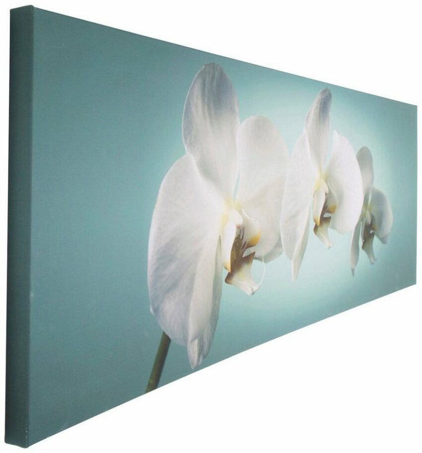 Art for the home Leinwandbild »Orchidee«, Orchidee-Bilder-Ideen für dein Zuhause von Home Trends