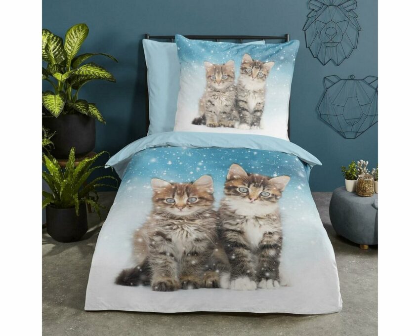 Bettwäsche »Katzen«, TRAUMSCHLAF, weich und warm-Bettwäsche-Ideen für dein Zuhause von Home Trends