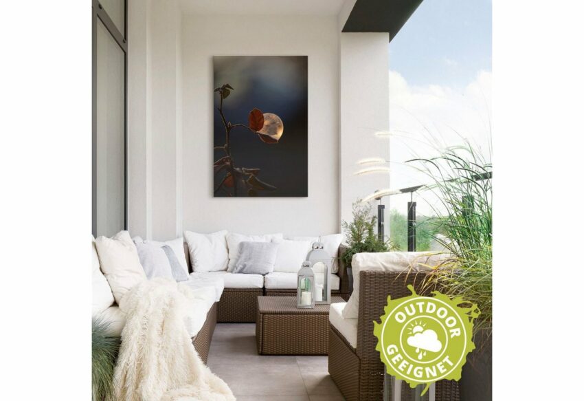 Artland Wandbild »Seifenblasen auf Rosenblatt«, Blätterbilder (1 Stück), in vielen Größen & Produktarten - Alubild / Outdoorbild für den Außenbereich, Leinwandbild, Poster, Wandaufkleber / Wandtattoo auch für Badezimmer geeignet-Bilder-Ideen für dein Zuhause von Home Trends