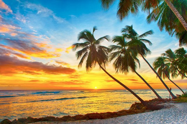 Papermoon Fototapete »Barbados Palm Beach«, glatt-Tapeten-Inspirationen