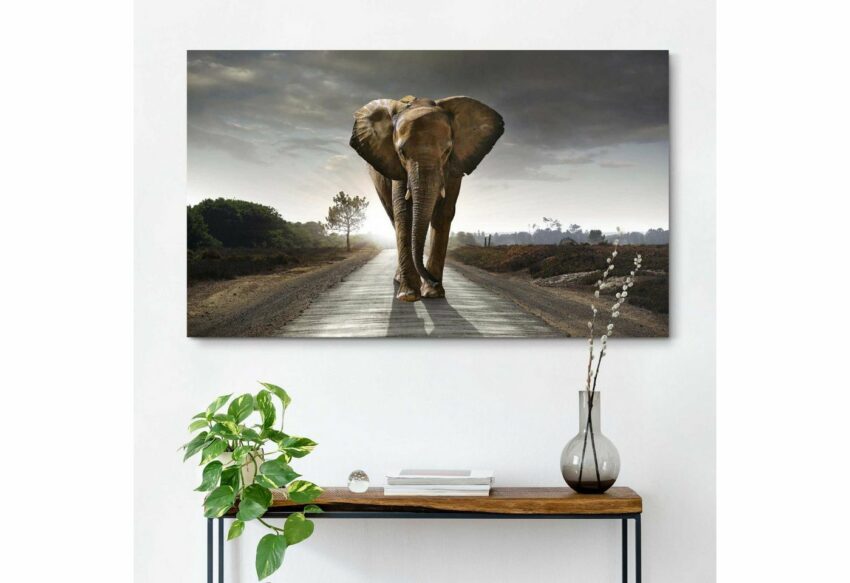 Reinders! Wandbild »Elefant König«-Bilder-Ideen für dein Zuhause von Home Trends