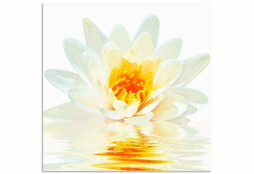 Artland Wandbild »Lotusblume schwimmt im Wasser«, Blumen (1 Stück), in vielen Größen & Produktarten - Alubild / Outdoorbild für den Außenbereich, Leinwandbild, Poster, Wandaufkleber / Wandtattoo auch für Badezimmer geeignet-Bilder-Ideen für dein Zuhause von Home Trends
