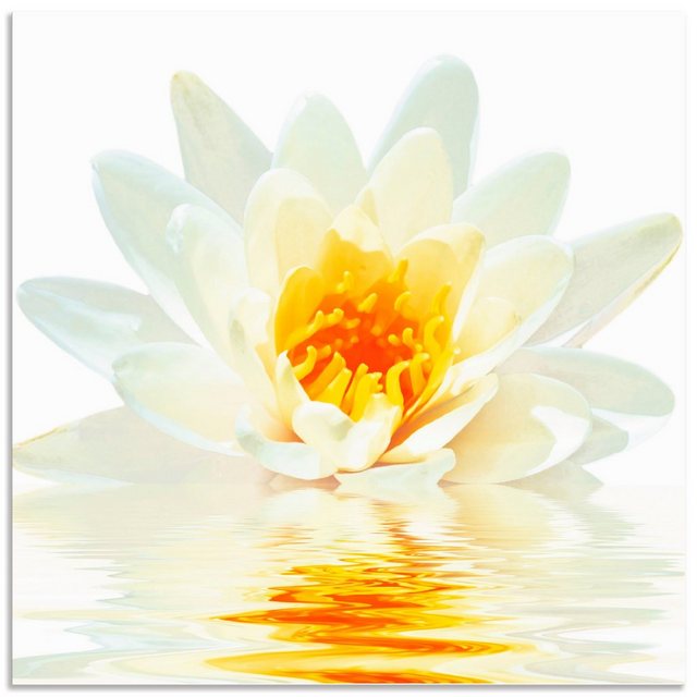 Artland Wandbild »Lotusblume schwimmt im Wasser«, Blumen (1 Stück), in vielen Größen & Produktarten - Alubild / Outdoorbild für den Außenbereich, Leinwandbild, Poster, Wandaufkleber / Wandtattoo auch für Badezimmer geeignet-Bilder-Inspirationen