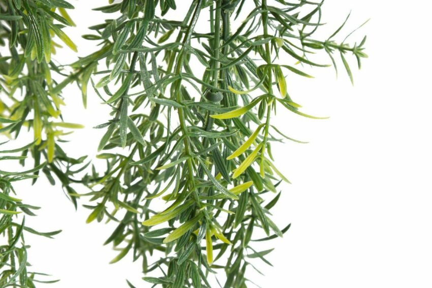Künstliche Zimmerpflanze »Asparagus-Hängeampel« Asparagus, Botanic-Haus, Höhe 46 cm-Kunstpflanzen-Ideen für dein Zuhause von Home Trends