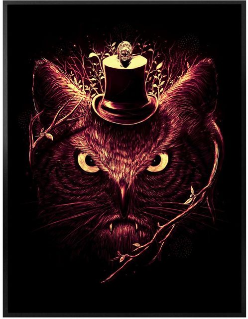 Wall-Art Poster »Nicebleed Meowl Katze Eule Magie«, Tiere (1 Stück), Poster, Wandbild, Bild, Wandposter-Bilder-Inspirationen